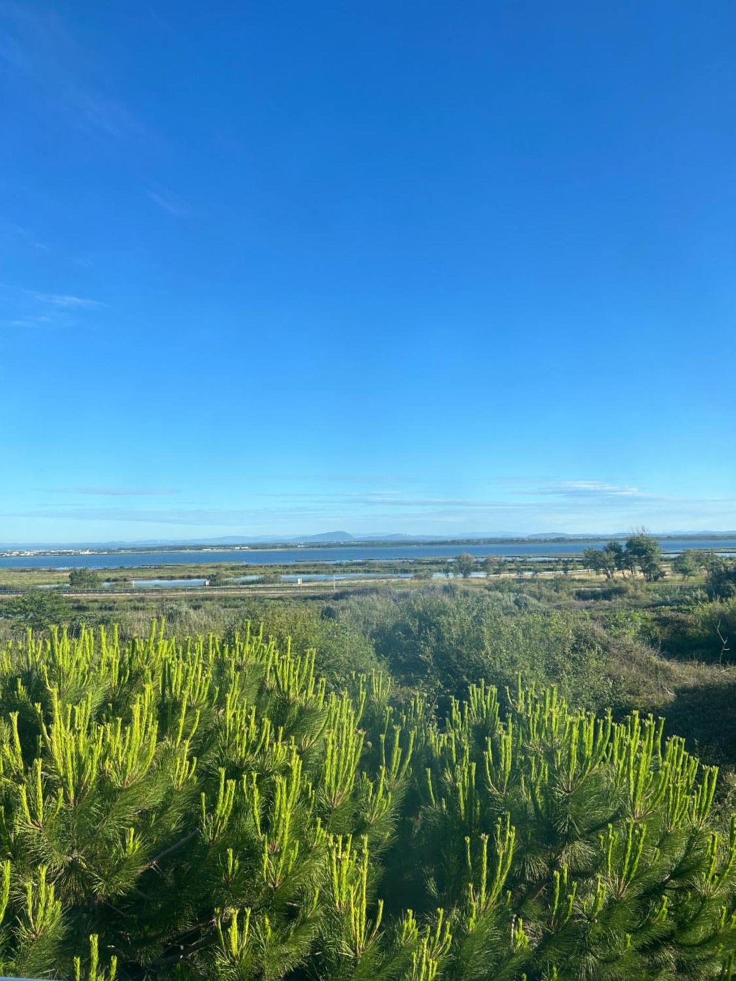 Appartement Traversant Vue Mer Et Etang Mauguio Eksteriør billede